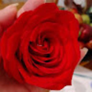 Meet your Posher, Katty